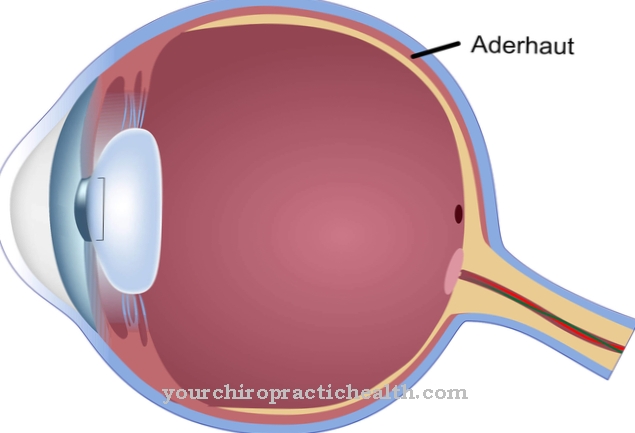 choroid