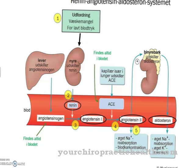 Aldosterone