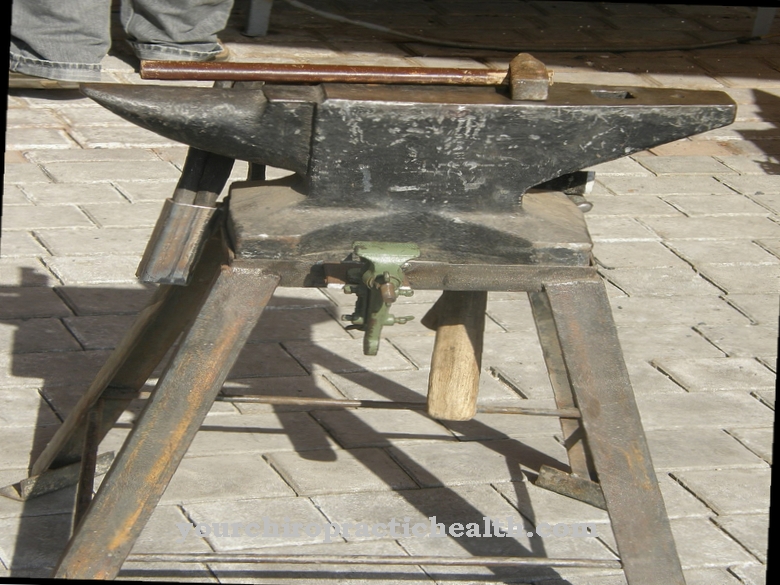 anvil