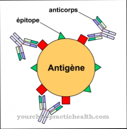 Antigeny