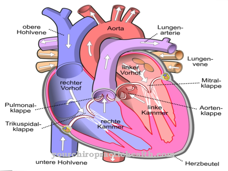 Aordiventiil