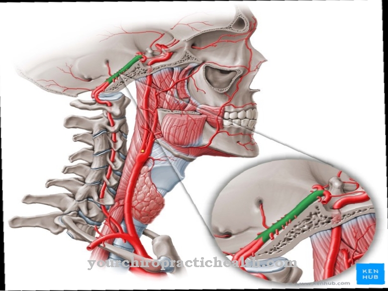 Basilar artery