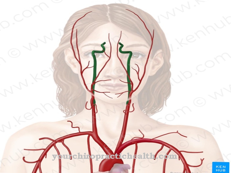 Arteri karotid dalaman