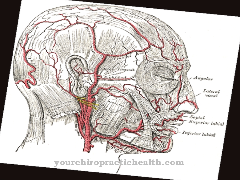 Arteri muka