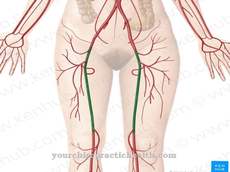 Femoral artär