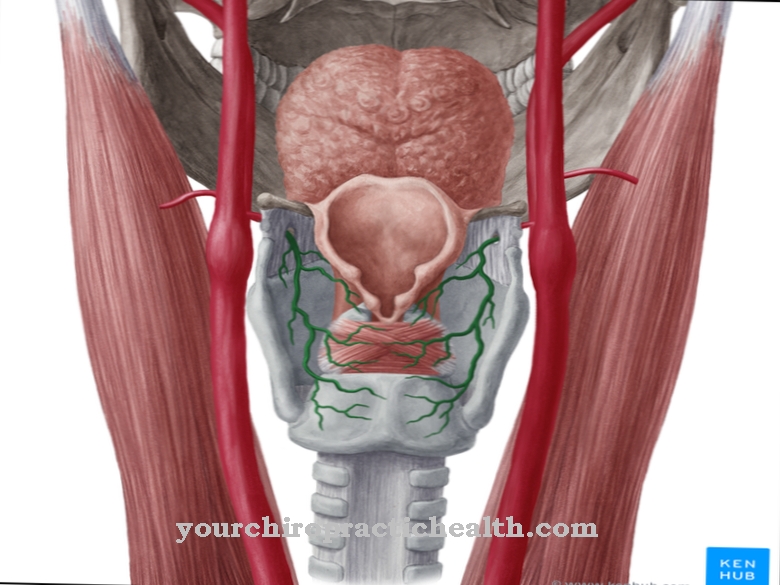 Superior laryngeal artery