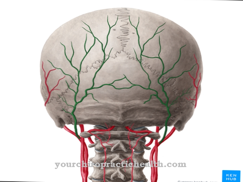 Occipital artery