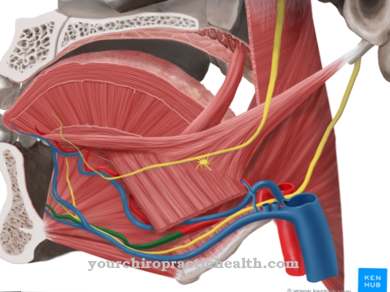 Arteri sublingual