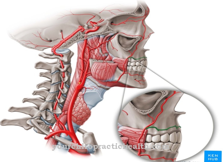 Arteri submental