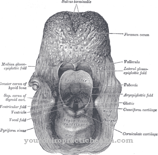 Aryepiglottic voldik