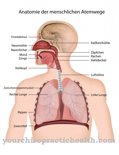 tractului respirator