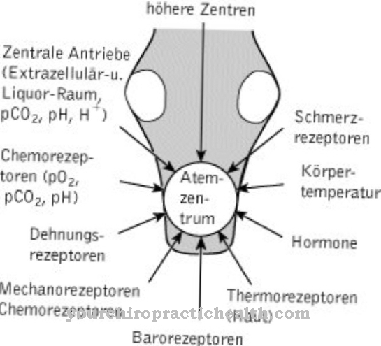 Solunum merkezi