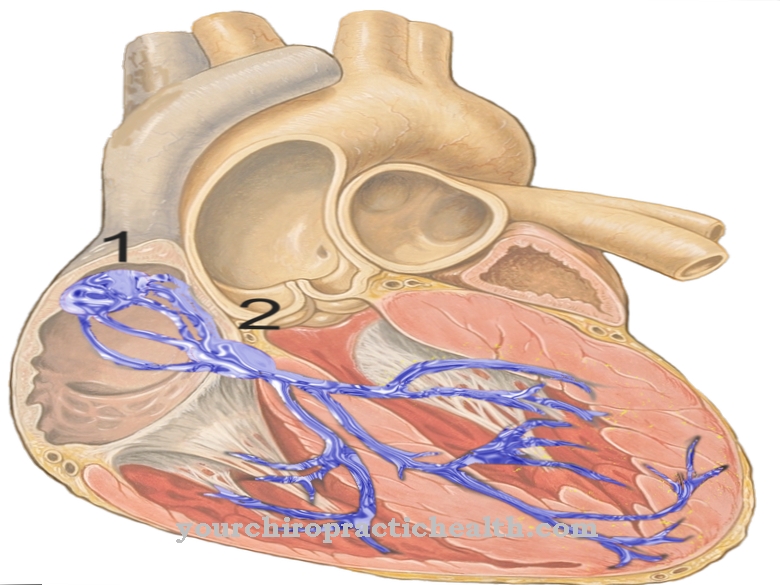 Nodul atrioventricular