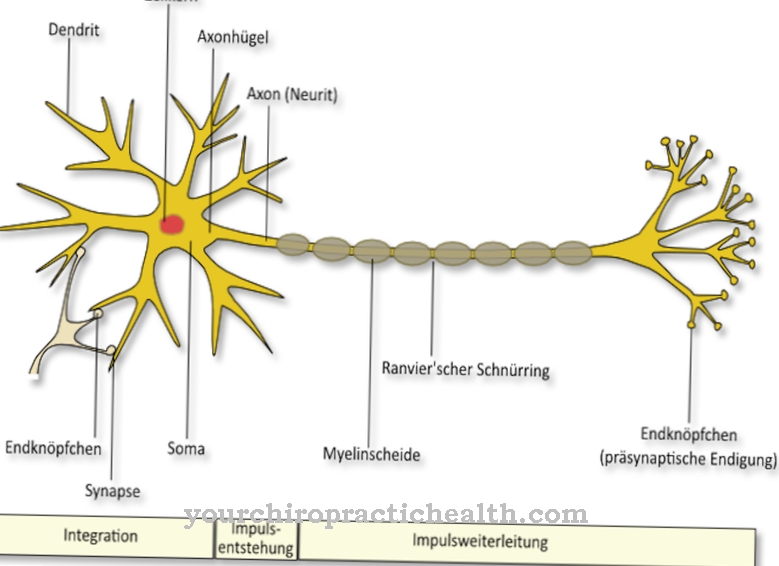 Tumuli di Axon