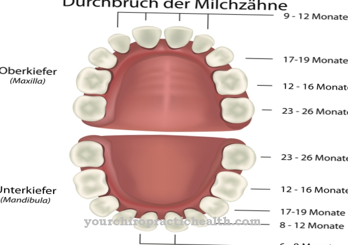 kutnjaci