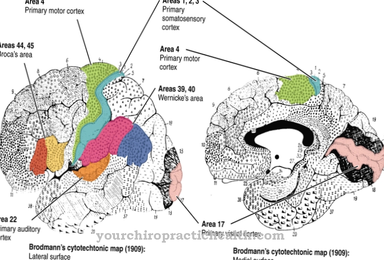 Brodmann apgabals