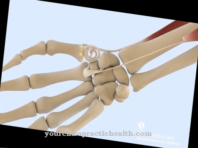 Saddle thumb joint