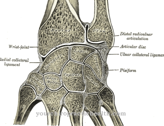 Articular disc