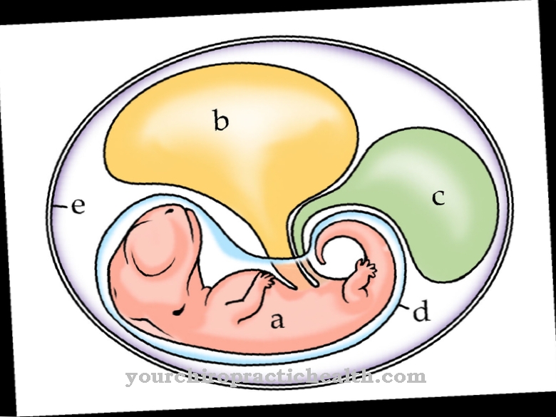 Eggeplomme sac