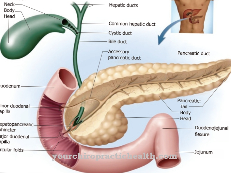 Pancreatic duct