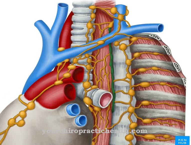 Thoracic duct