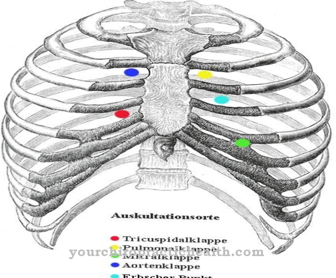 Inheritance point