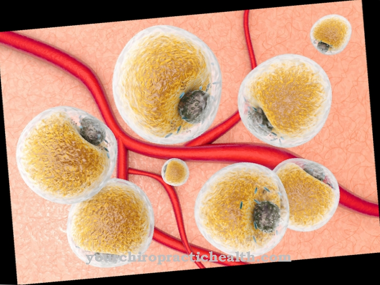 Adipose tissue