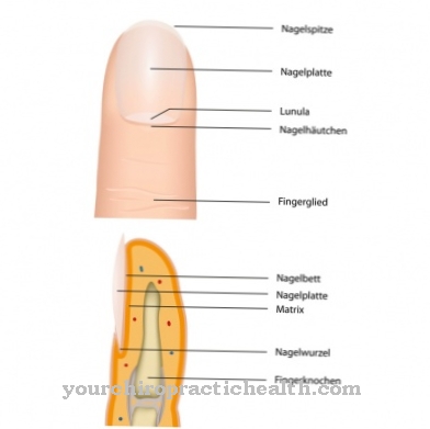 Vingernagels