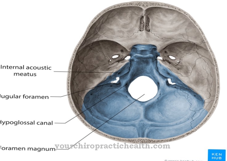 Jugular foramen