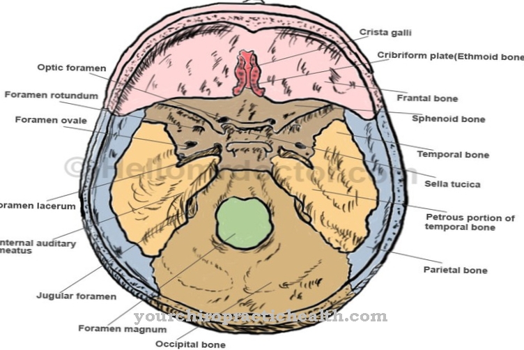 Foramen lacerum