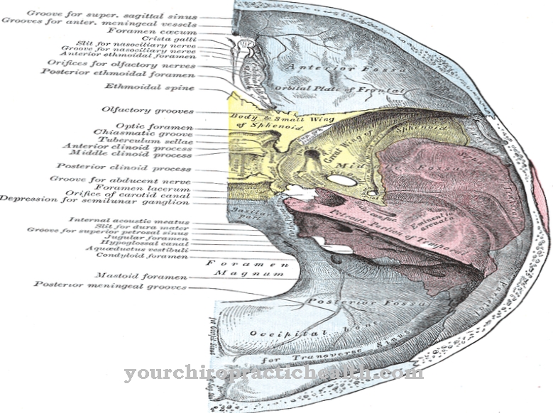 Fossa cranii media