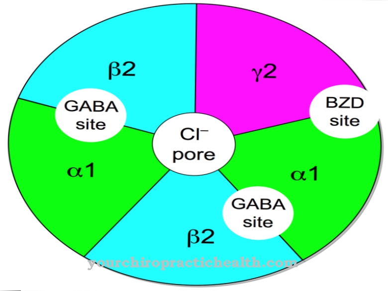 GABA receptor