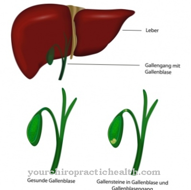 Bile duct