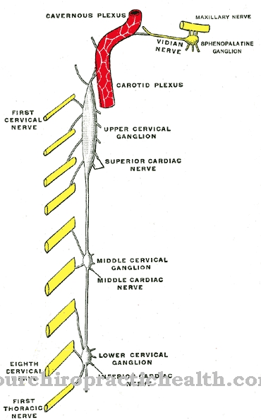 Vrhunski cervikalni ganglion