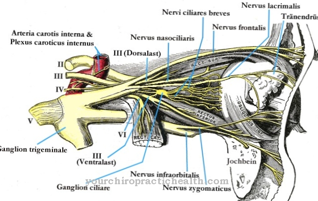 Ganglion ciliary