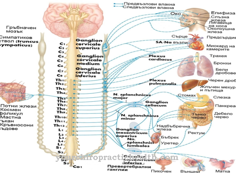 Alamast ganglion