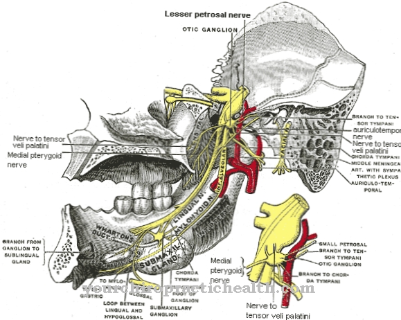 Ganglion oticum