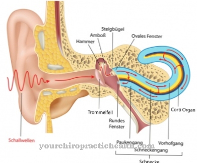 Ear canal