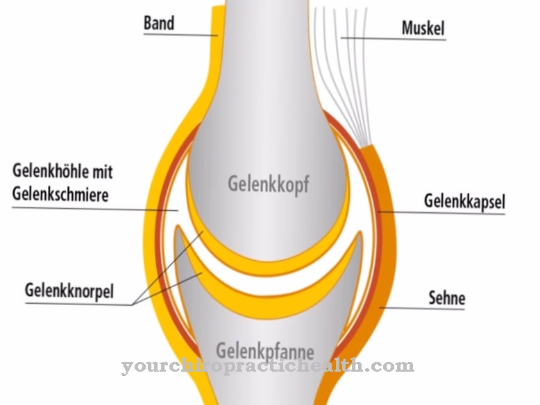 Foglalat