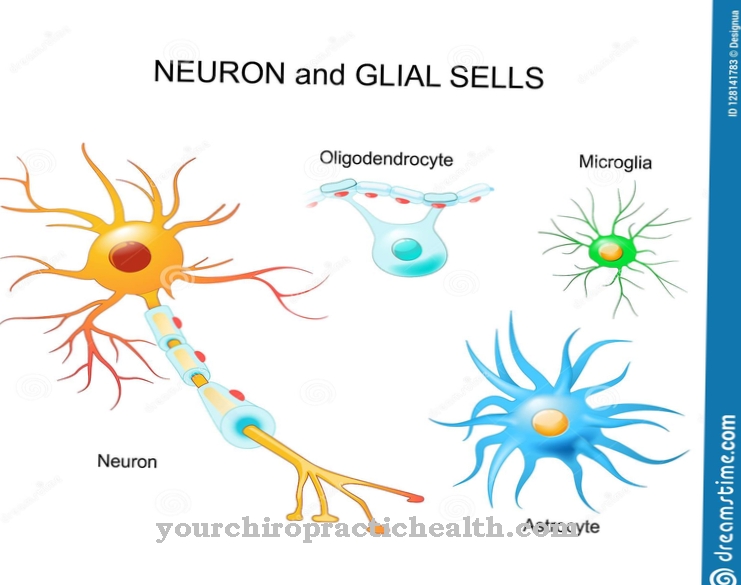 Glial cells