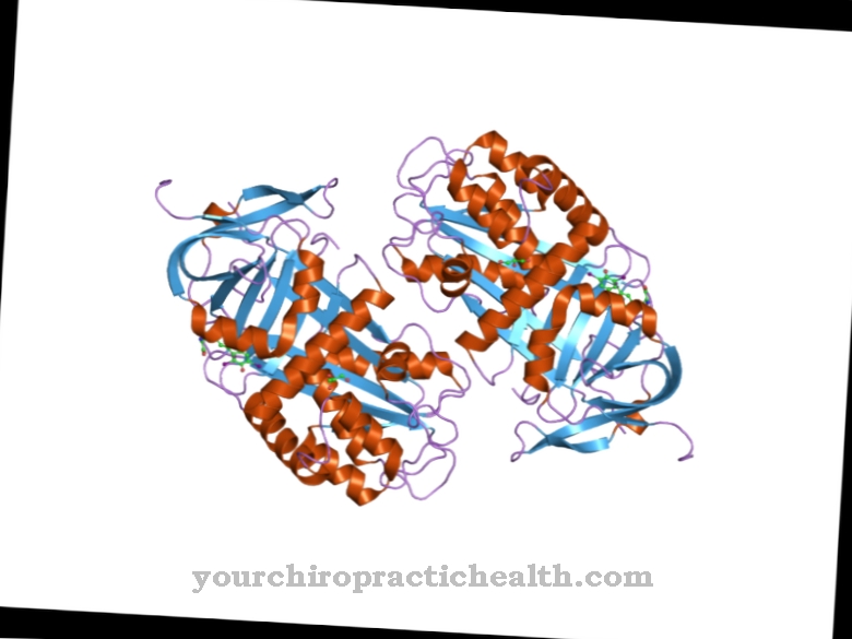 Globulin