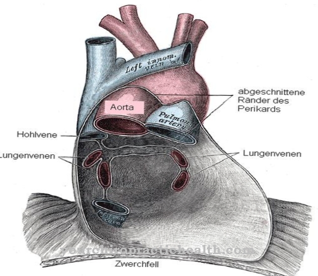 Pericardium