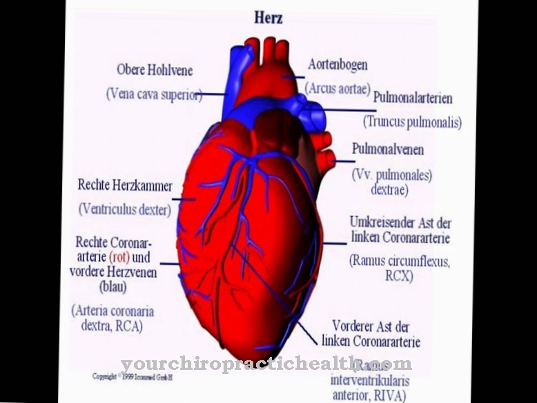 Coronary arteries