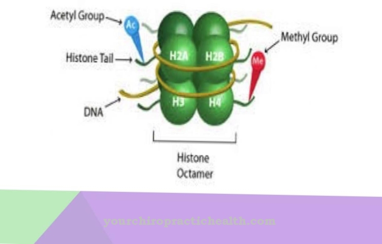 histones