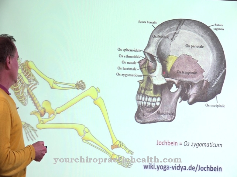 Zygomatic bone