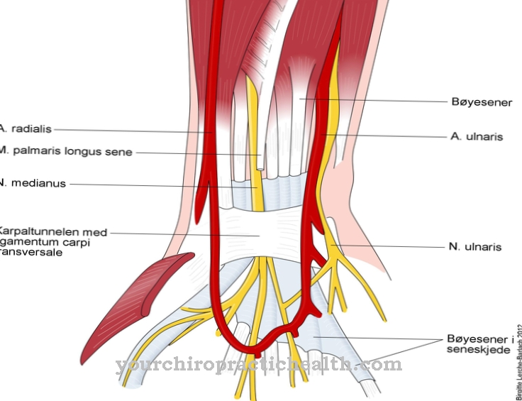 อุโมงค์ Carpal