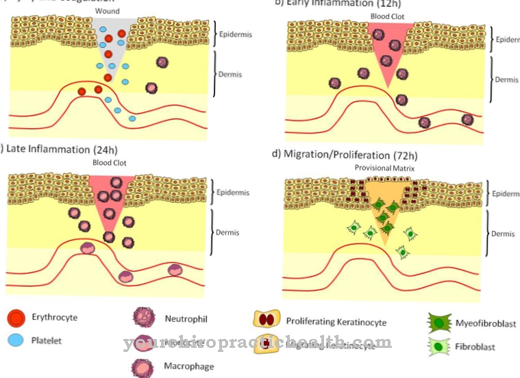 Keratinocytes