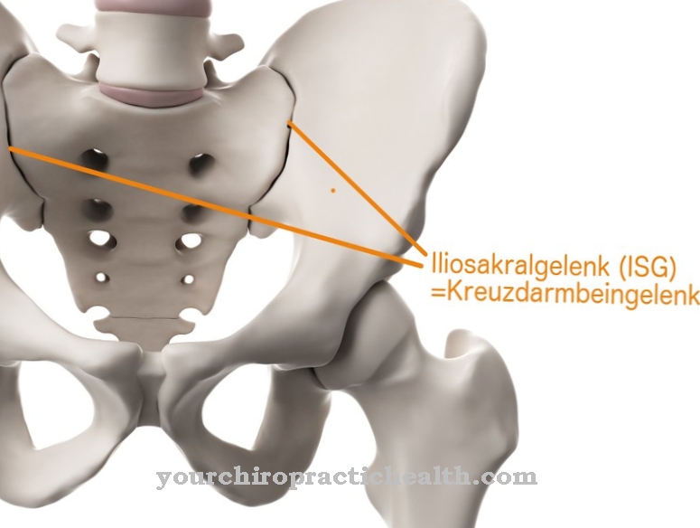 Sacrum and iliac joint