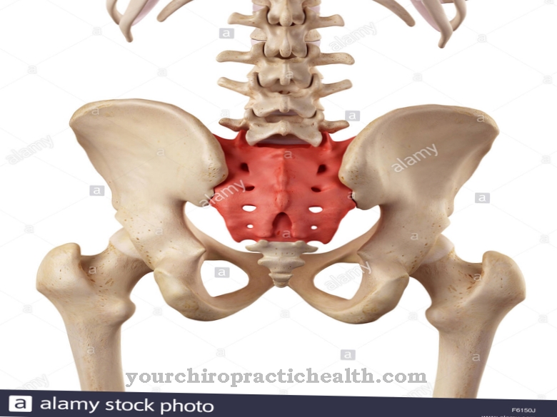 Sacrum