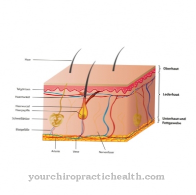 derma